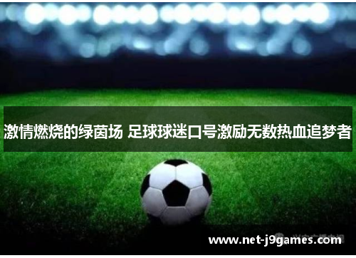 激情燃烧的绿茵场 足球球迷口号激励无数热血追梦者 激情燃烧的绿茵场 足球球迷口号激励无数热血追梦者