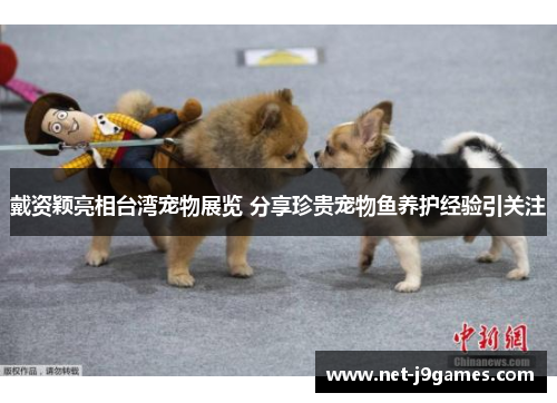 戴资颖亮相台湾宠物展览 分享珍贵宠物鱼养护经验引关注 戴资颖亮相台湾宠物展览 分享珍贵宠物鱼养护经验引关注