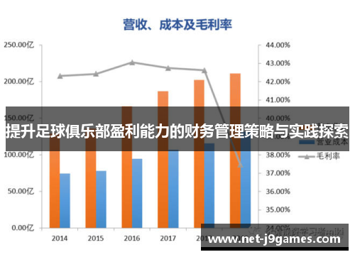 提升足球俱乐部盈利能力的财务管理策略与实践探索 提升足球俱乐部盈利能力的财务管理策略与实践探索