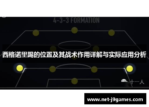西格诺里踢的位置及其战术作用详解与实际应用分析 西格诺里踢的位置及其战术作用详解与实际应用分析