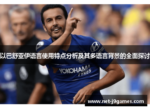 以巴舒亚伊语言使用特点分析及其多语言背景的全面探讨 以巴舒亚伊语言使用特点分析及其多语言背景的全面探讨