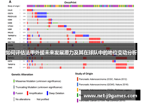 如何评估法甲外援未来发展潜力及其在球队中的地位变动分析