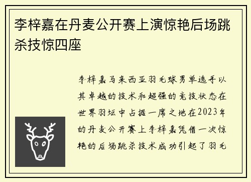 李梓嘉在丹麦公开赛上演惊艳后场跳杀技惊四座